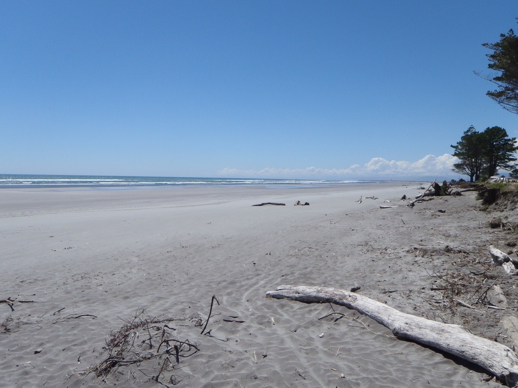 Carters Beach at Campground Beach Access