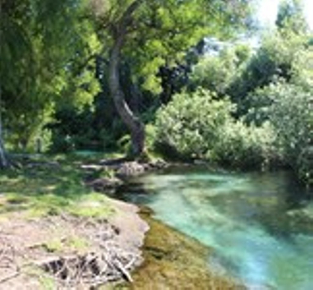 Hamurana Stream at Hamurana Road