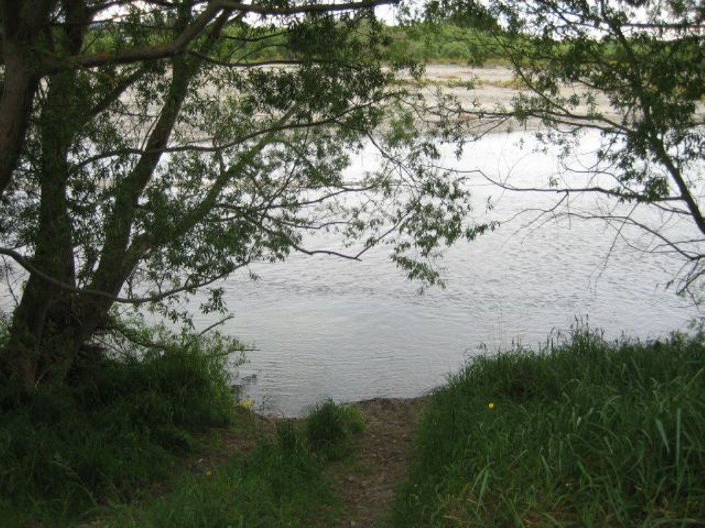 Ashley River above Rangiora-Loburn bridge