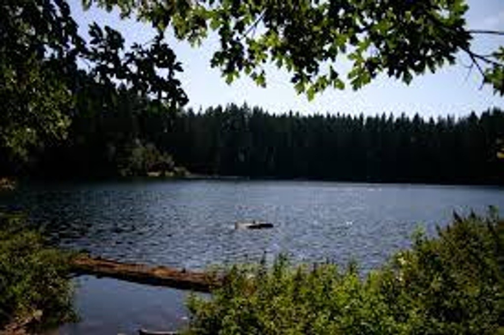 Battle Lake Campground