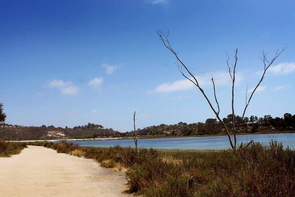 Batiquitos Lagoon Outlet