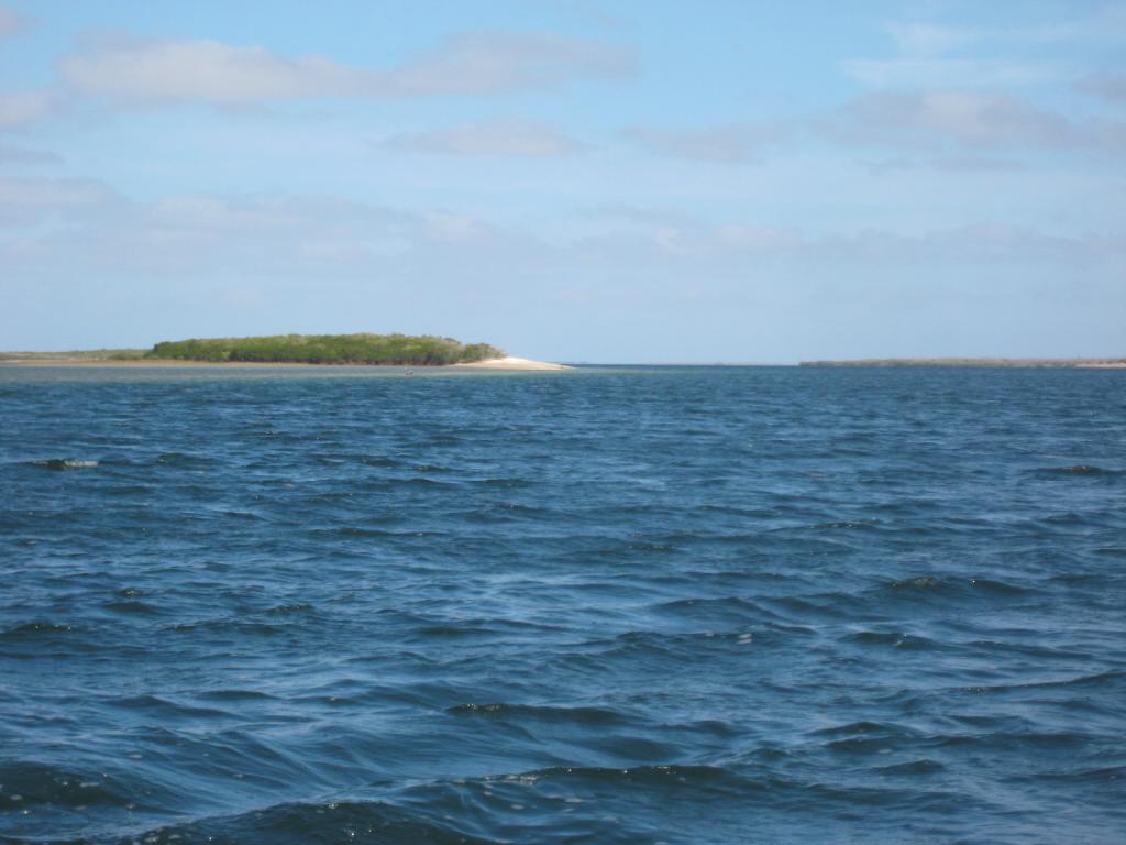 Estero Banderitas Conchalito