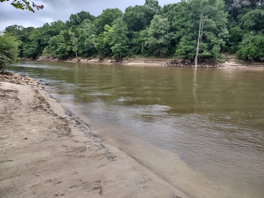 Choctawhatchee River at Geneva City Park Boat Ramp