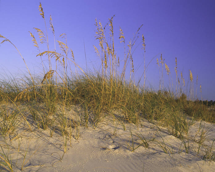 Alabama Point Public Beach, Gulf of Mexico