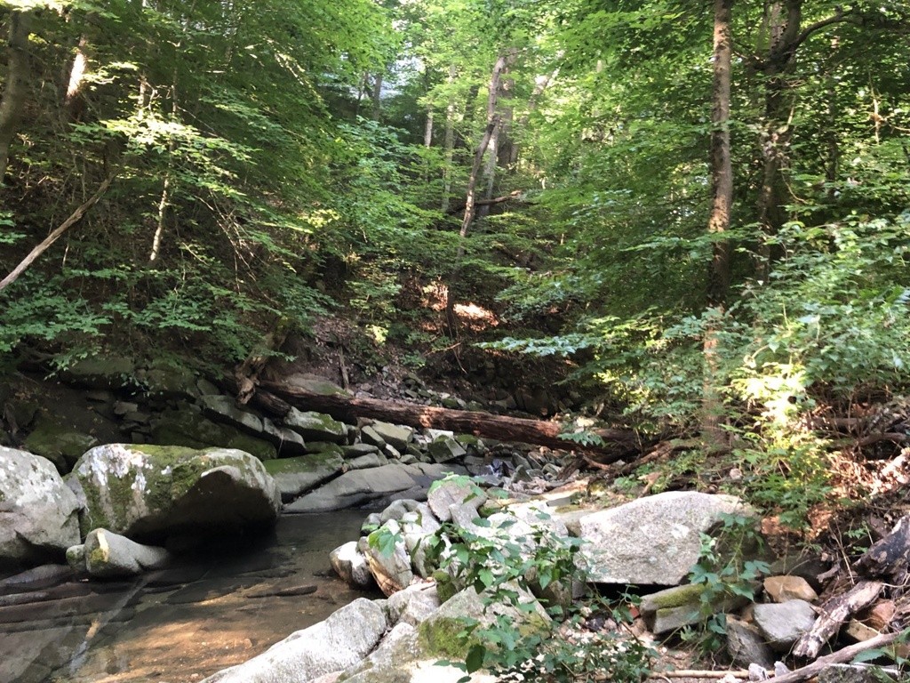 Rock Creek Soapstone Creek Swim Guide