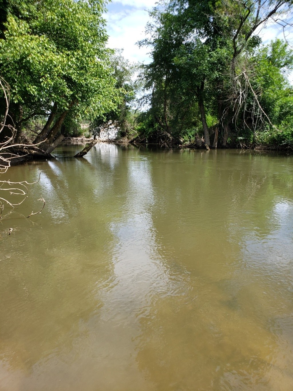 Mud Creek at Brookside Camp Rd.