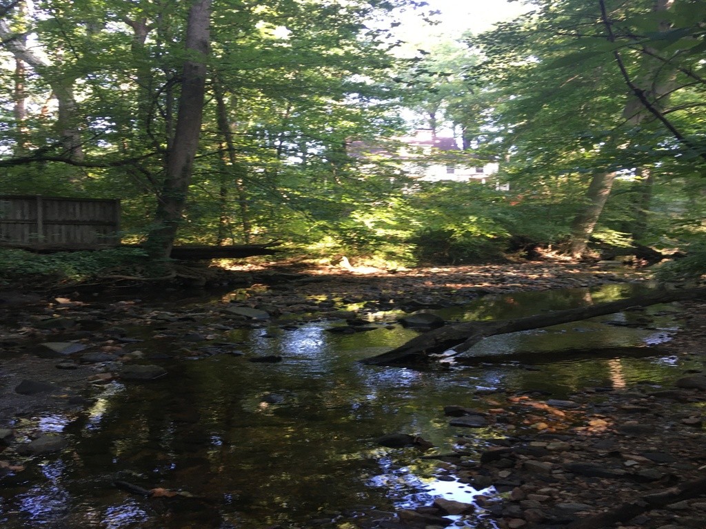 Little Falls Branch at Willard Avenue Neighborhood Park