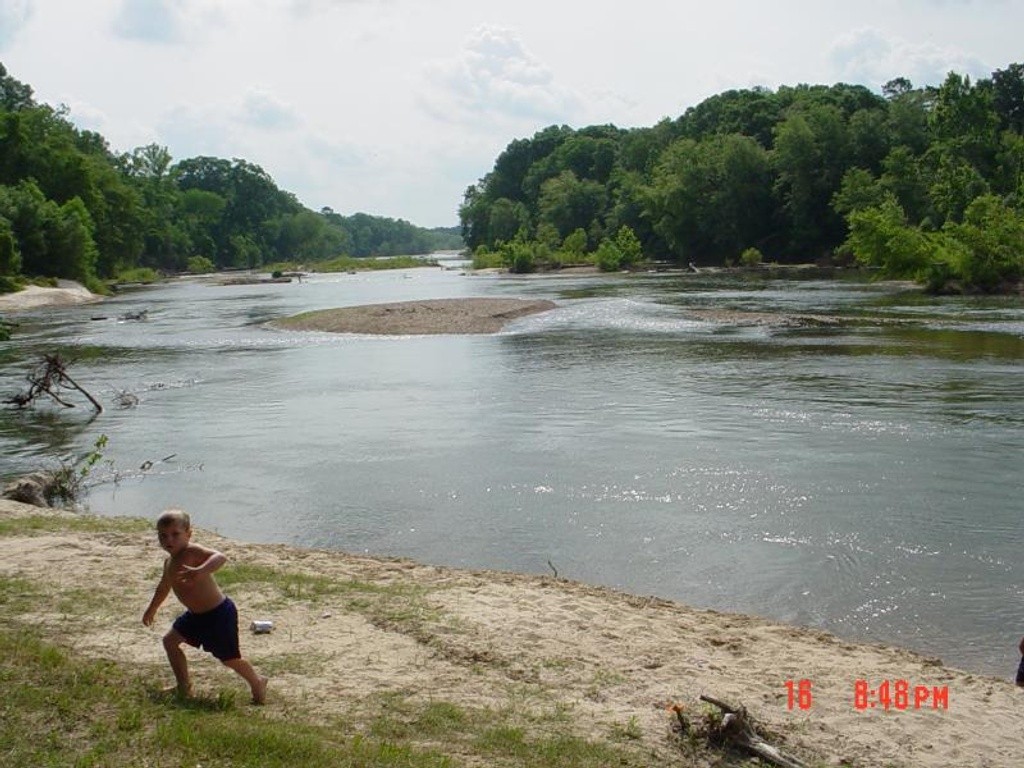 Bogue Chitto Dillon's Bridge Swim Guide