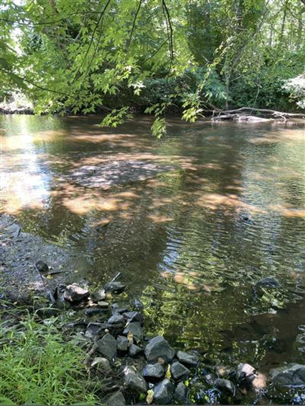 (AC5) Assunpink Creek