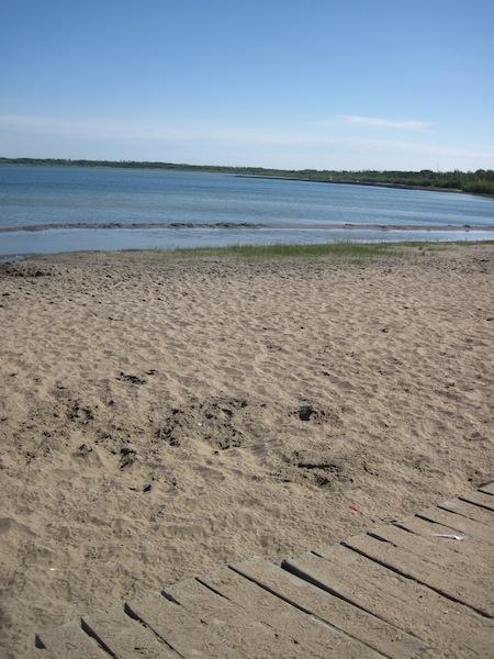 Attons Lake Regional Park Public Beach