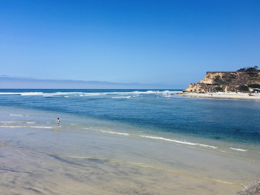 Del Mar Dog Beach