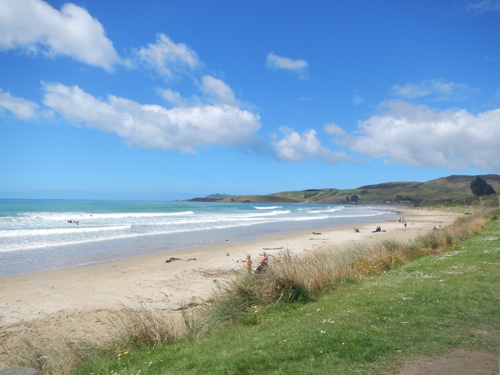 Kaka Point Beach at Kaka Point Beach