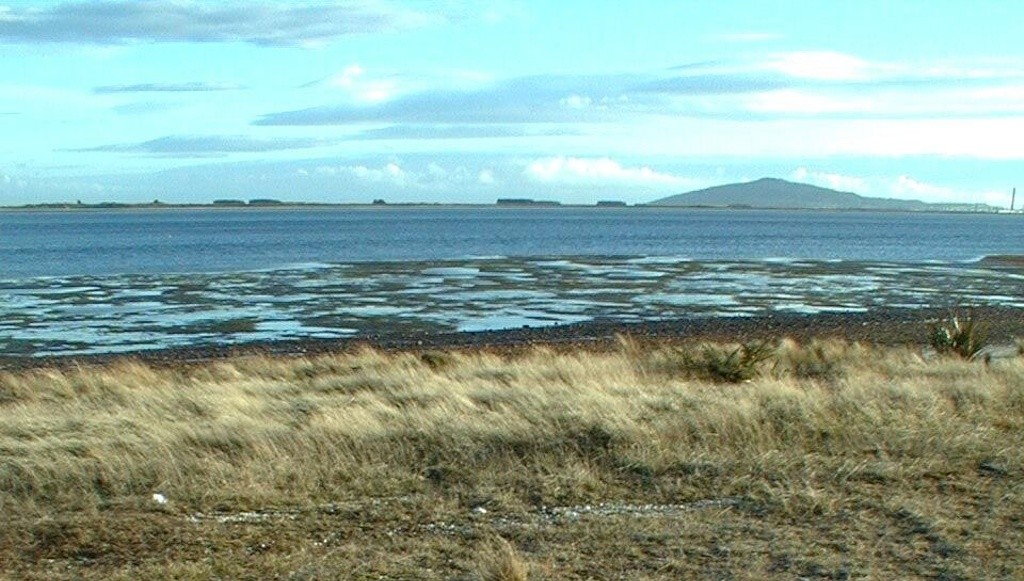 Awarua Bay at Tiwai pumphouse