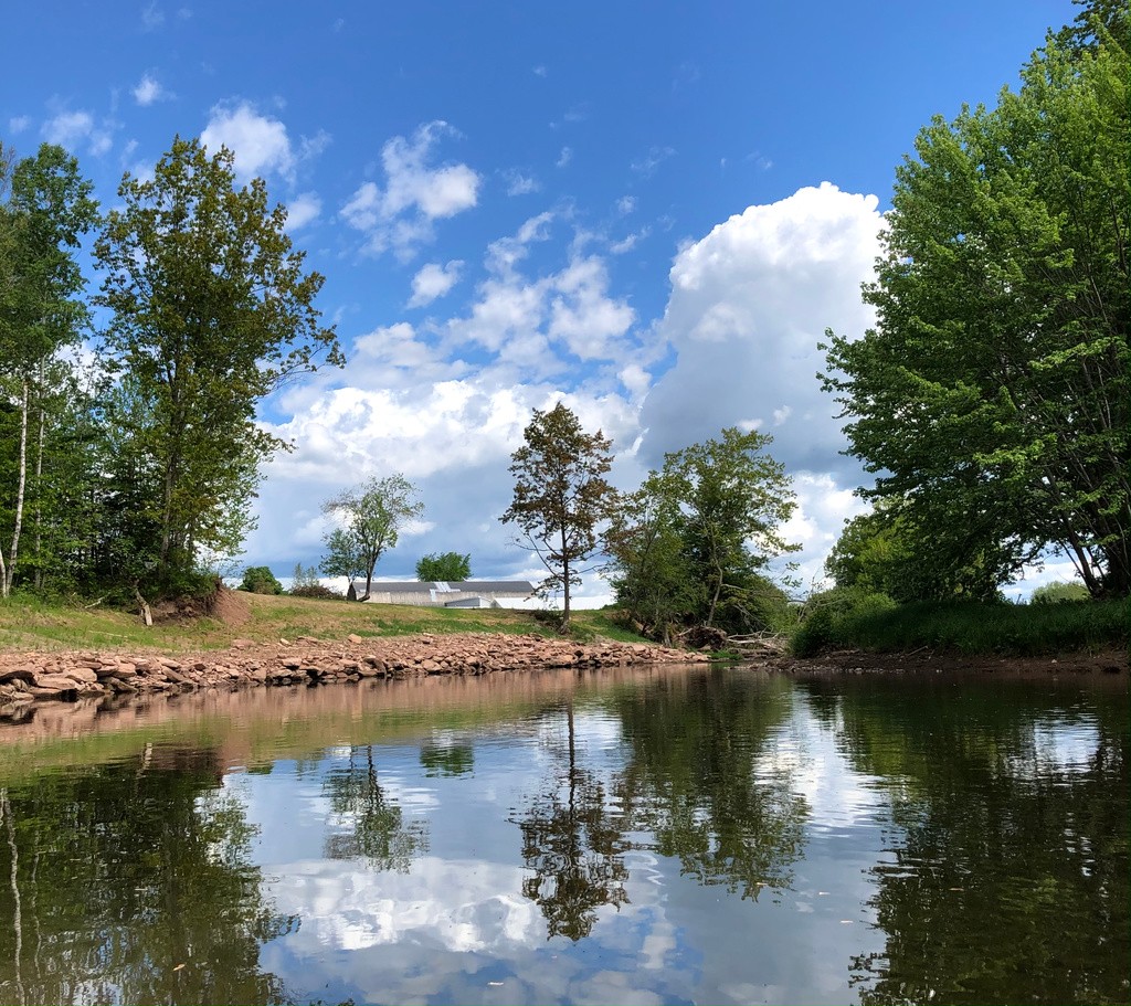 Pollett River Swimming Hole