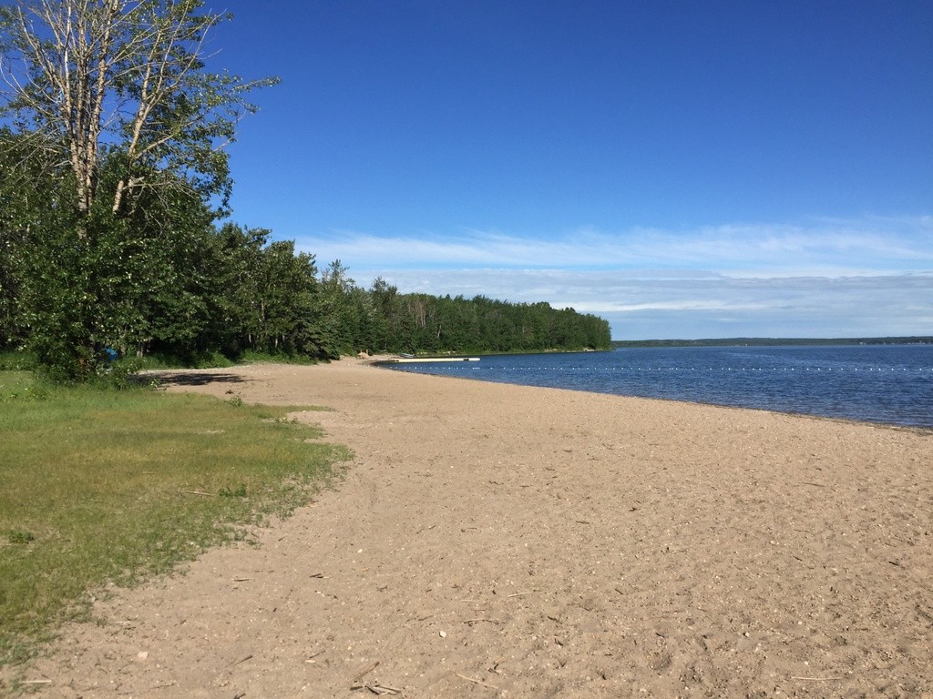 Pigeon Lake Provincial Park Beach Swim Guide
