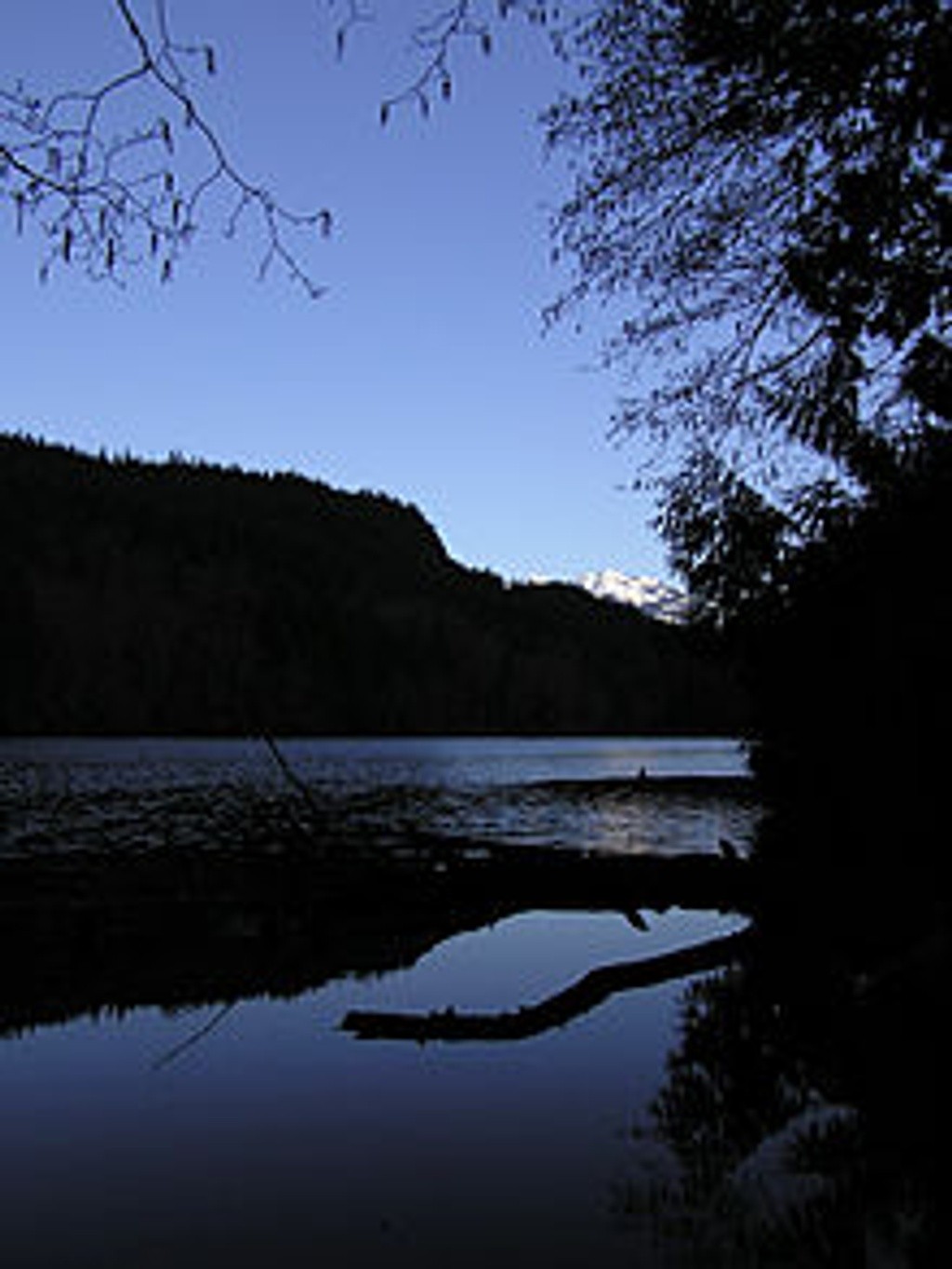 Alice Lake Park Beach - South