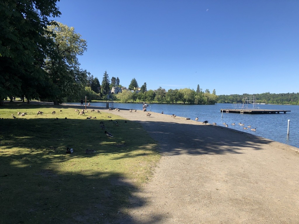 Green Lake Beach East