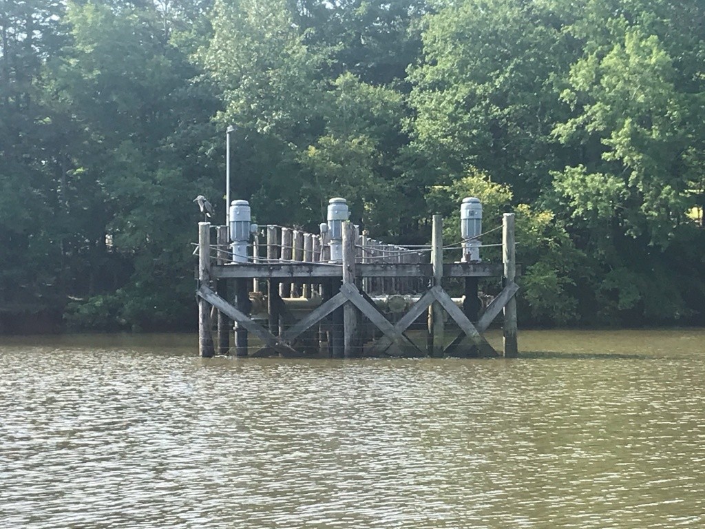 Lake Wateree Dam Road Swim Guide