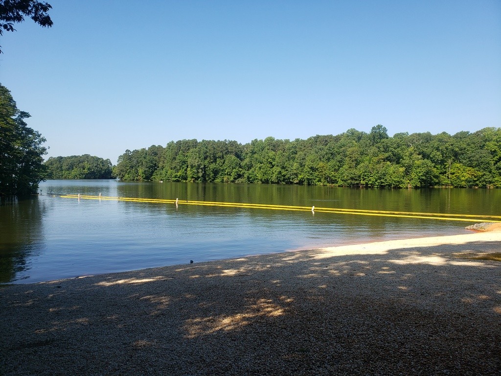 Buddle Creek Swim Area