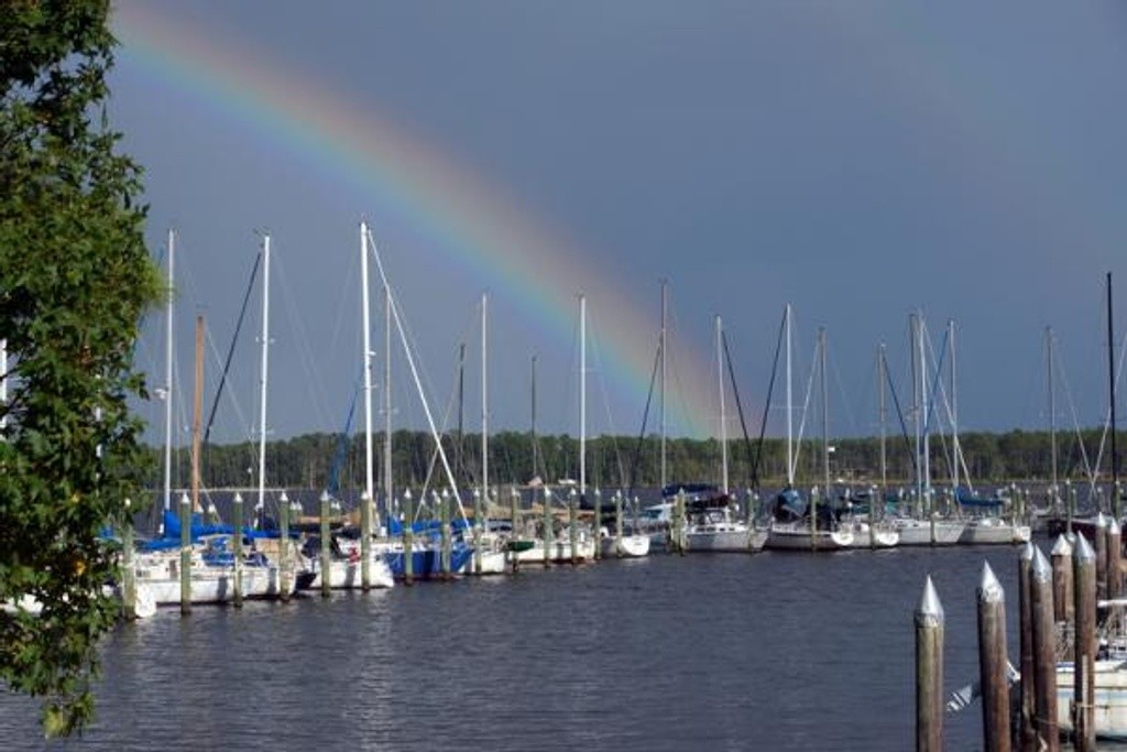 Black Beard Sailing Club