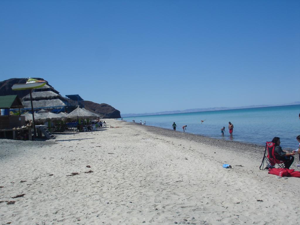 Tecolote