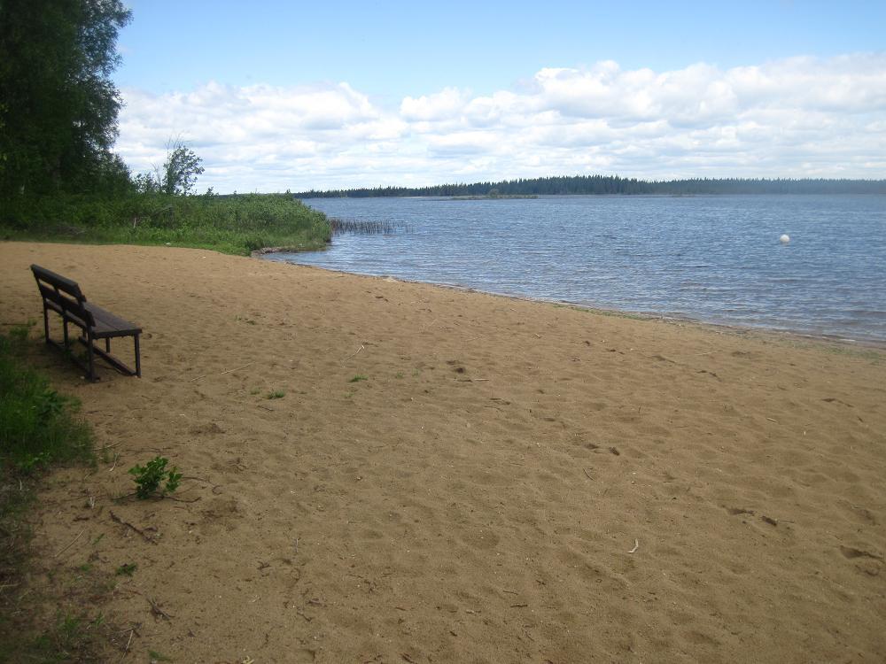 Anglin Lake Recreation Site Public Beach at Anderson Point Campground