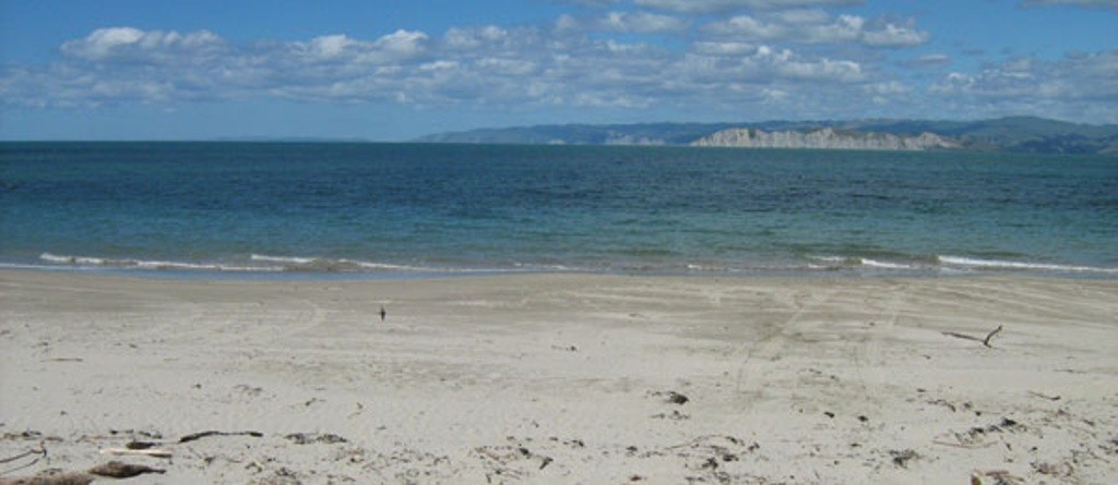 Kaiti Beach - Yacht Club