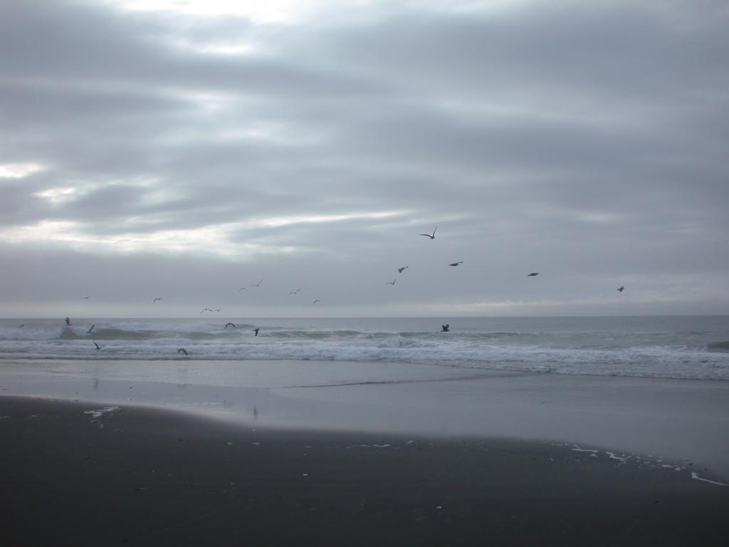 Black Sands Beach