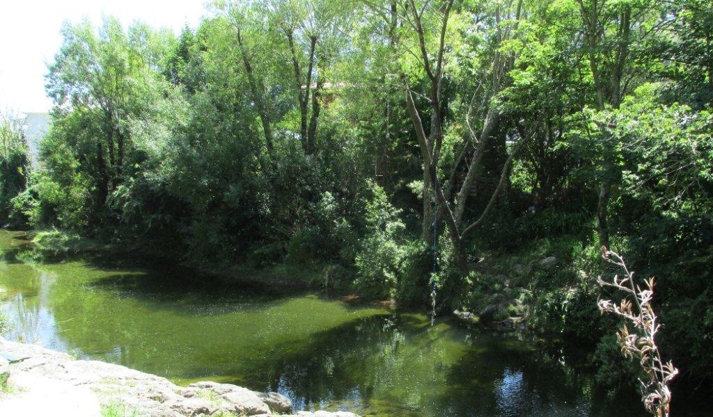 Maitai River at Girlies Hole