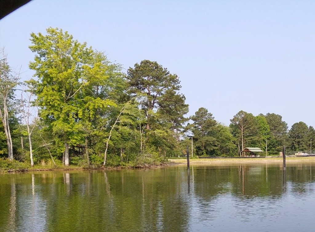 Lake Hickory Wittenburg Beach Swim Guide
