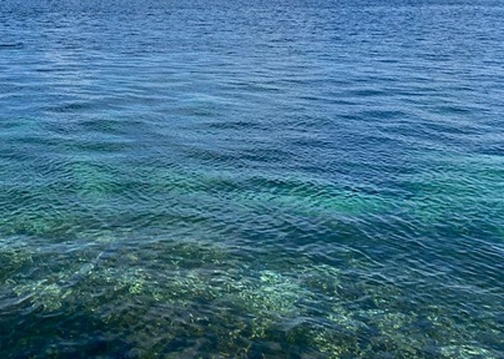 Sawmill Bay Swim Guide