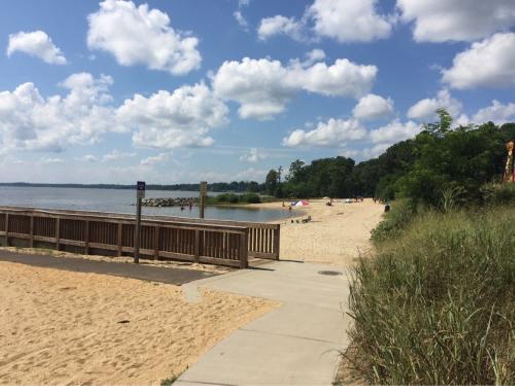 Jamestown Beach Swim Guide