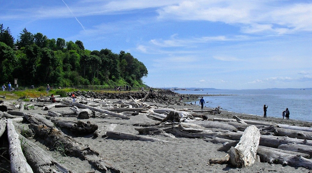 Edmonds Marina Beach Park Swim Guide