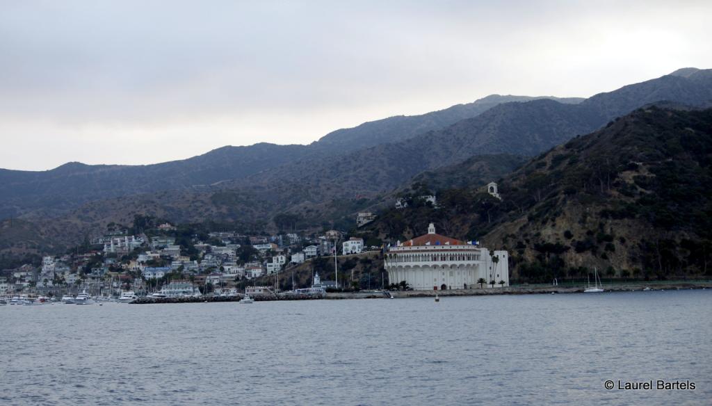 Avalon Beach 50ft west of pier toward Busy Bee Rest.