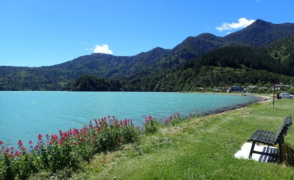 Okiwi Bay at Swimming Area Swim Guide