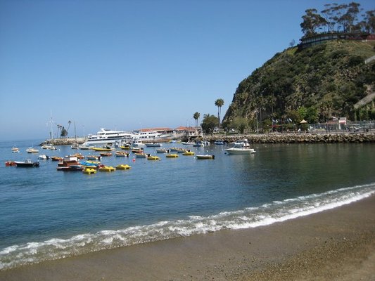 Avalon Beach 50ft east of pier