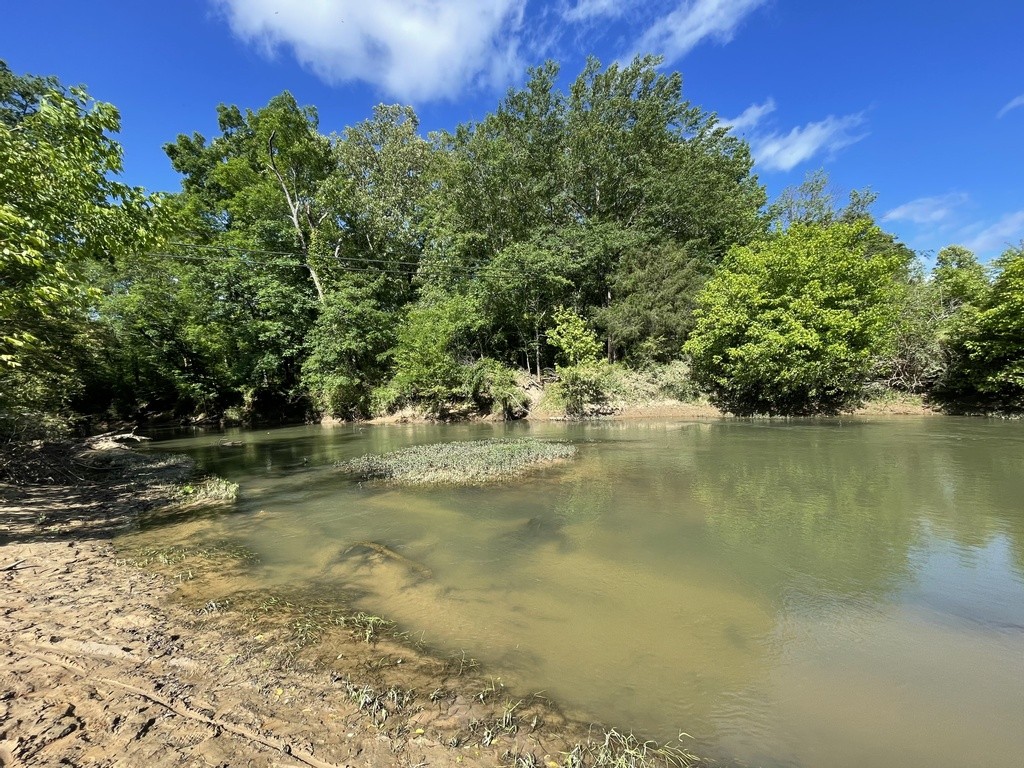 Big Canoe Creek (Hwy 231)