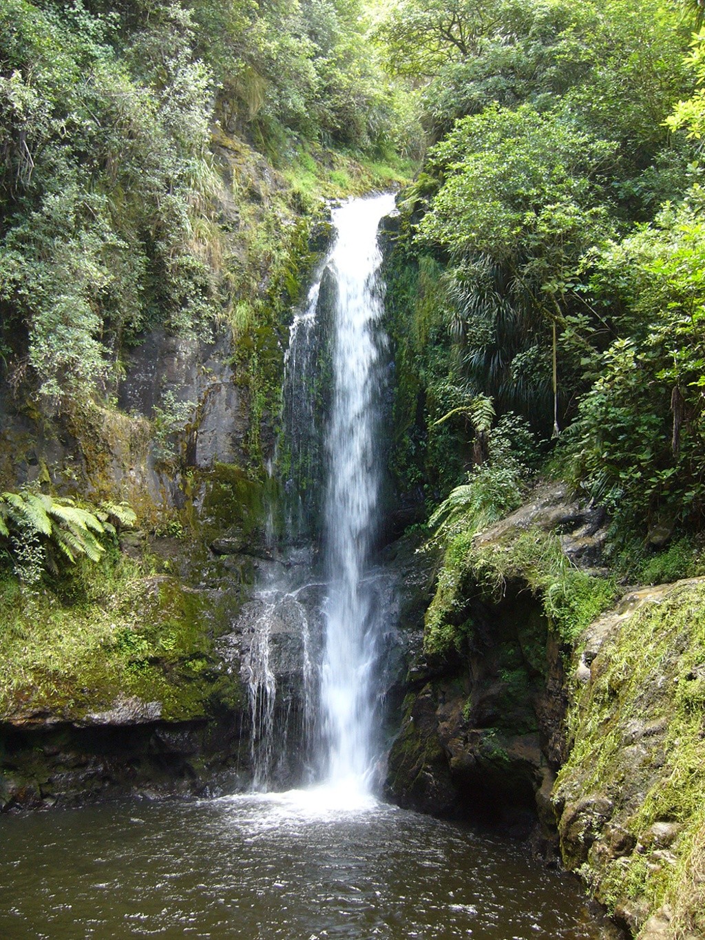 Kaiate Stream at Kaiate Falls