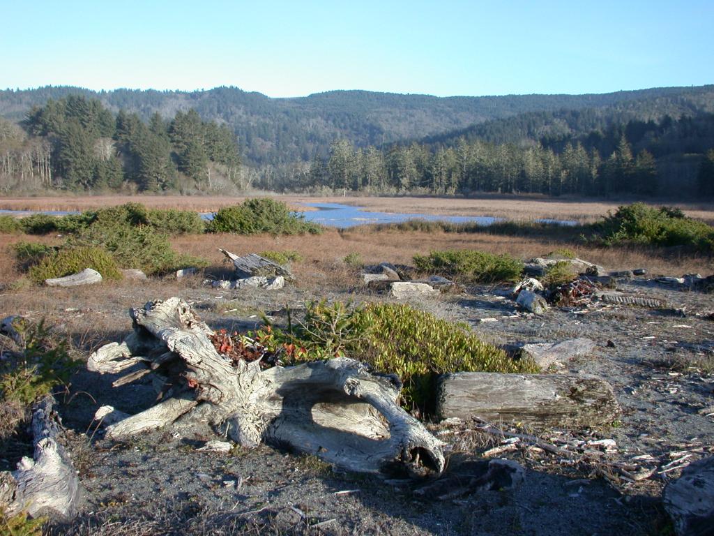 Dry Lagoon