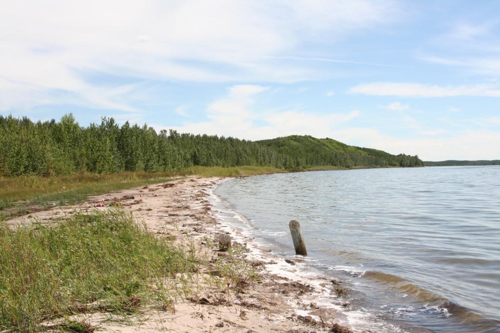 Buffalo Lake Provincial Recreation Area Beach (Boss Hill) Swim Guide