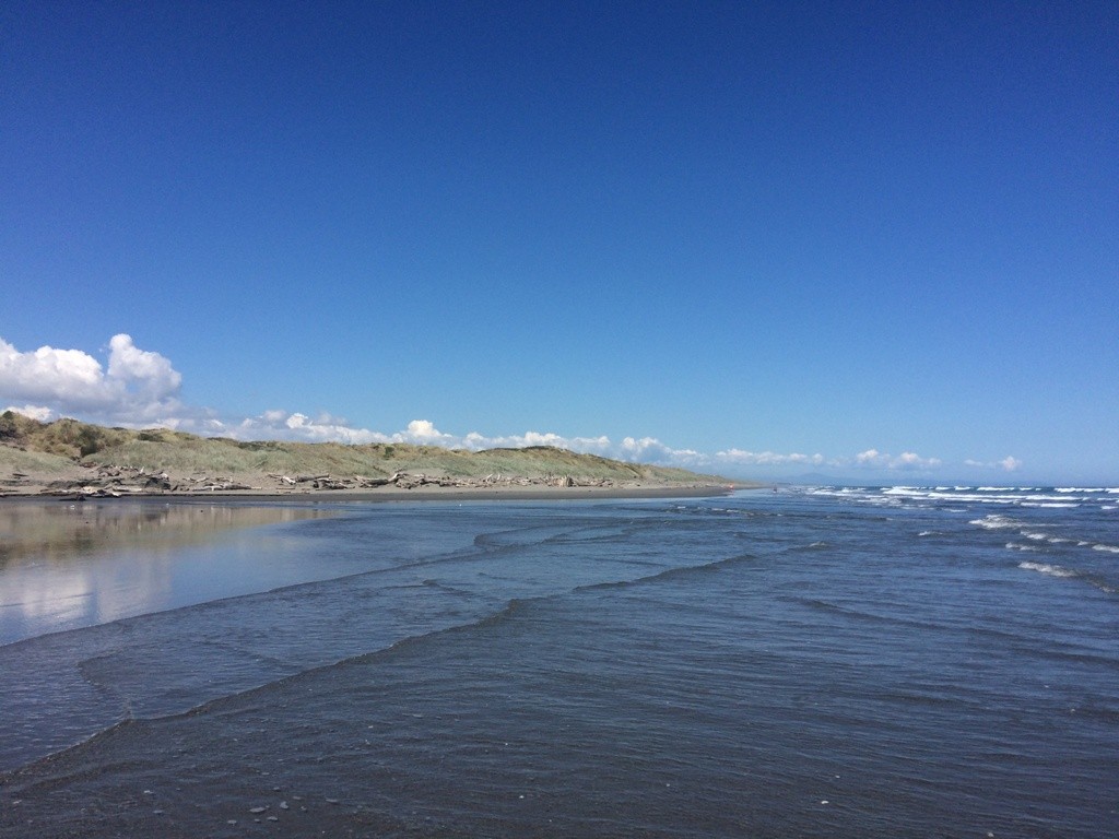 Himatangi Beach at Tasman sea