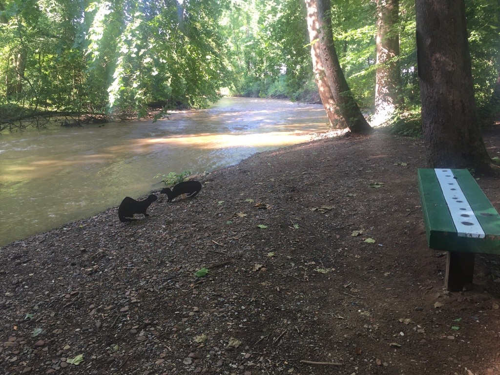 FODC's Outdoor Learning Park