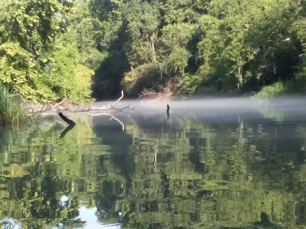 Mouth of Rae's Creek