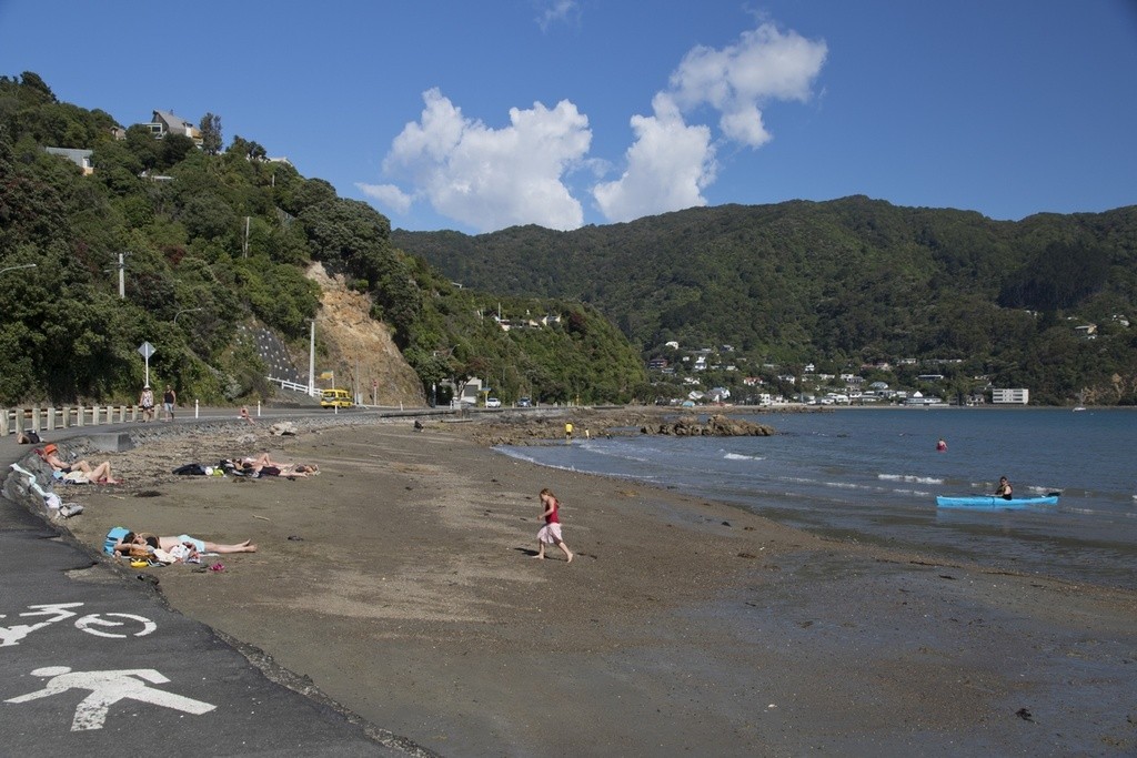 Sorrento Bay Swim Guide