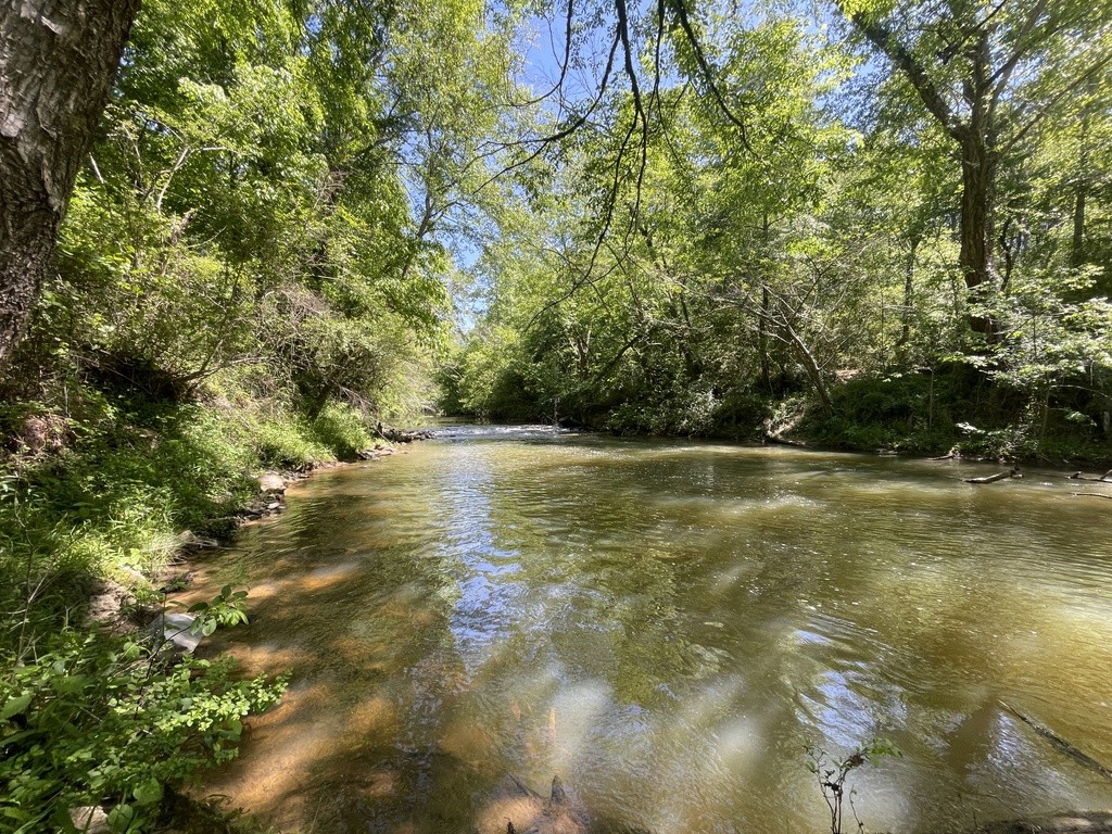 Black Creek