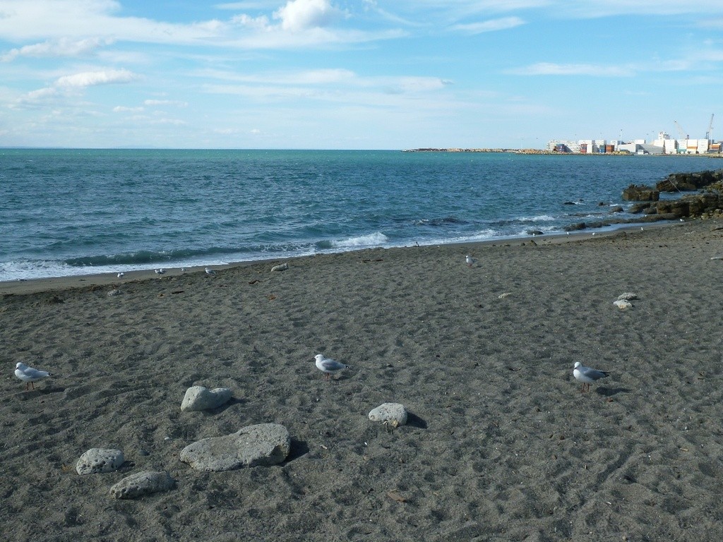 Hardinge Road Beach at Ahuriri, Napier