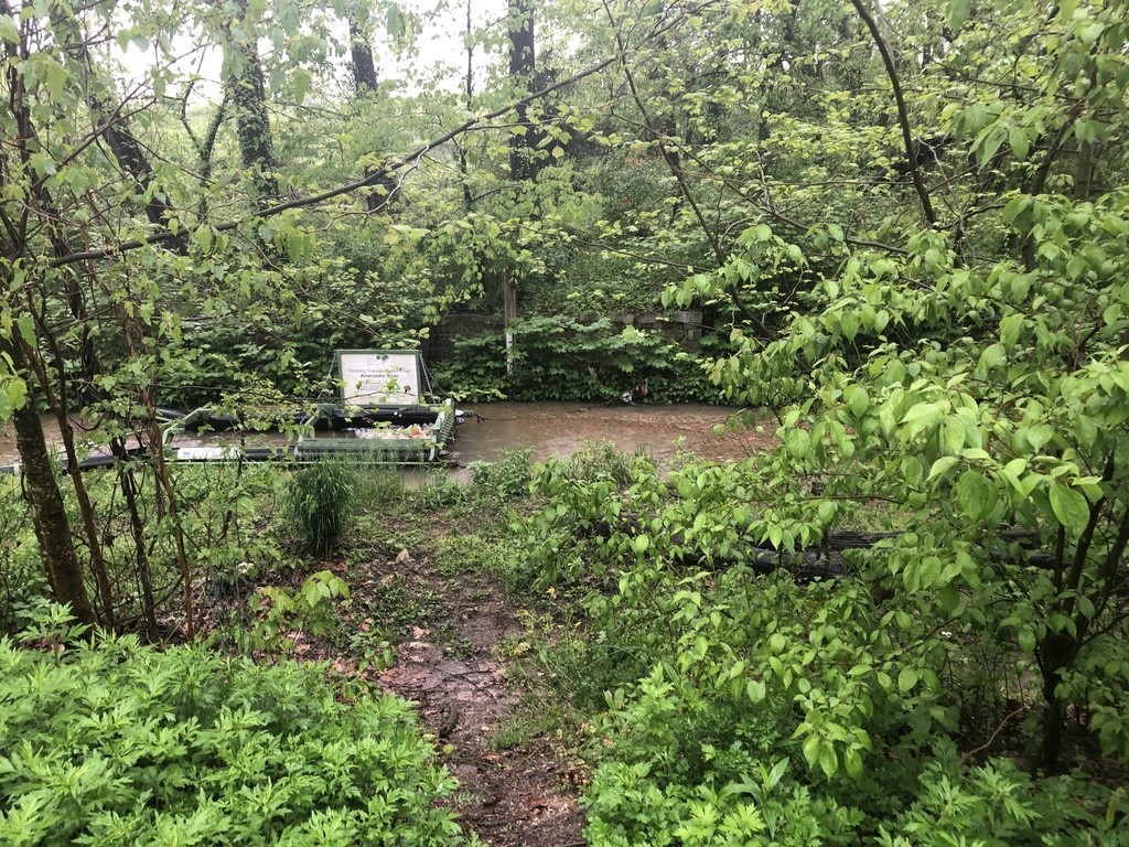 Anacostia River- Watts Branch at Marvin Gaye Park