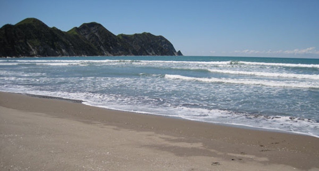 Tolaga Bay Surf Club Swim Guide