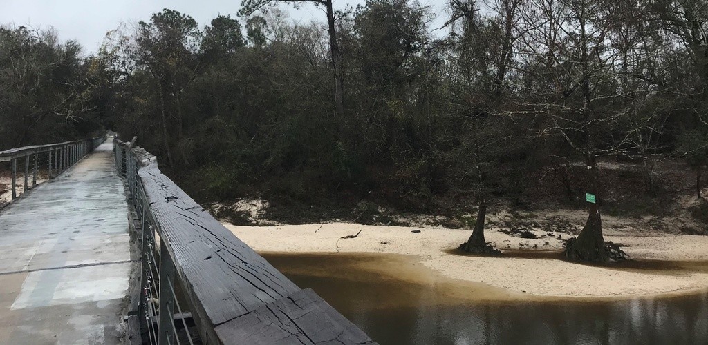 Bogue Falaya River at the Tammany Trace