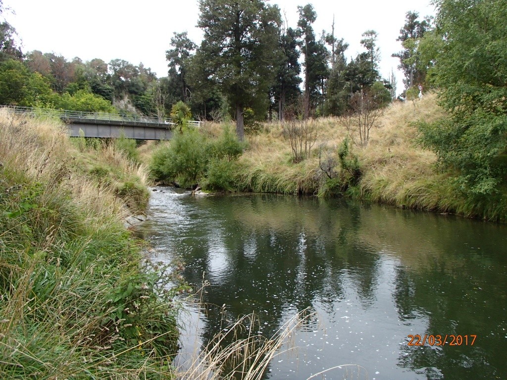 Hautapu River at Papakai park
